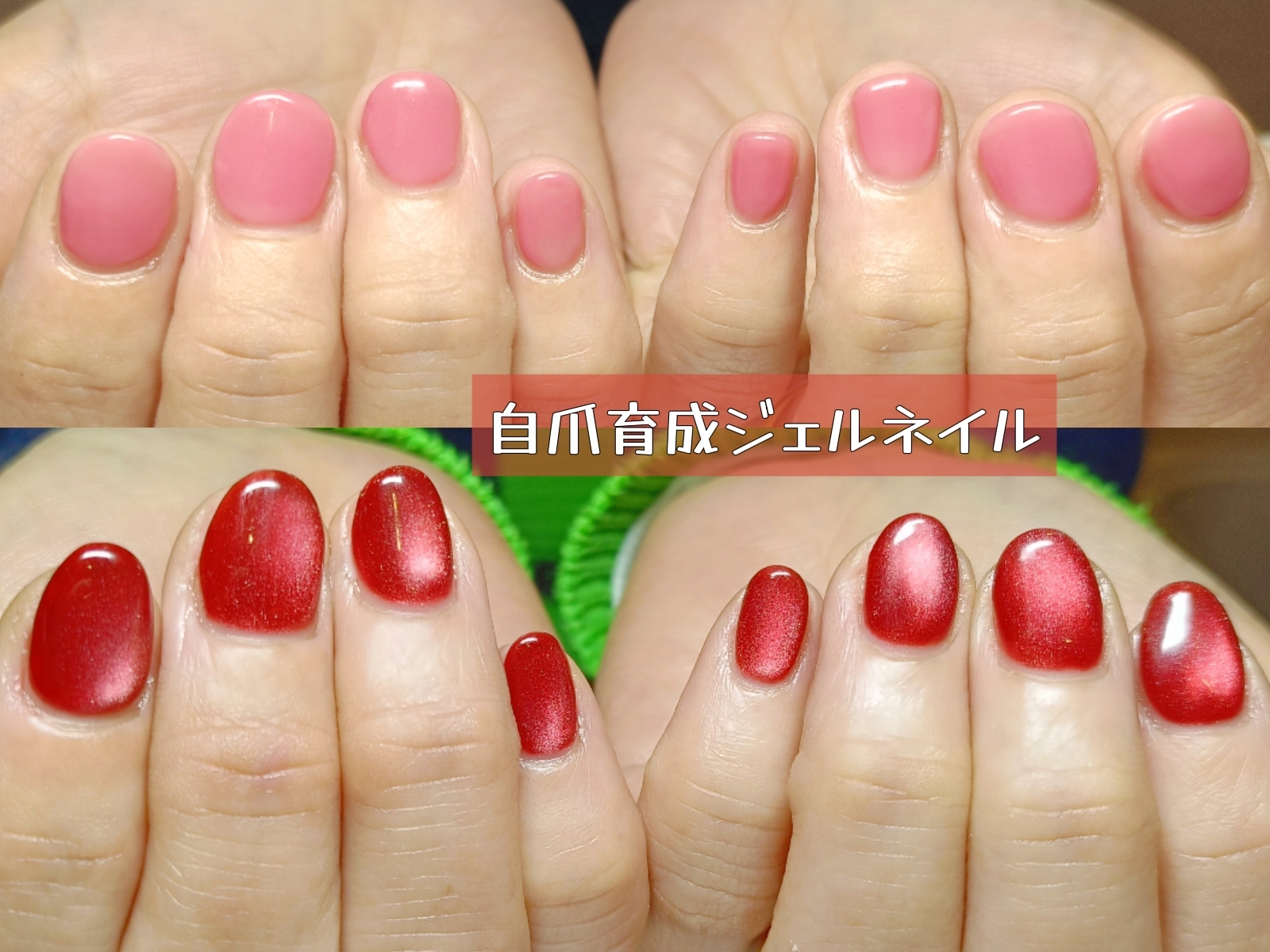 好きな仕事に出会えた人生は想像以上に豊かになる