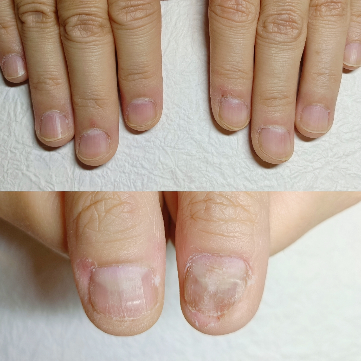 BeautyPlus_20250624105135861_save.jpg