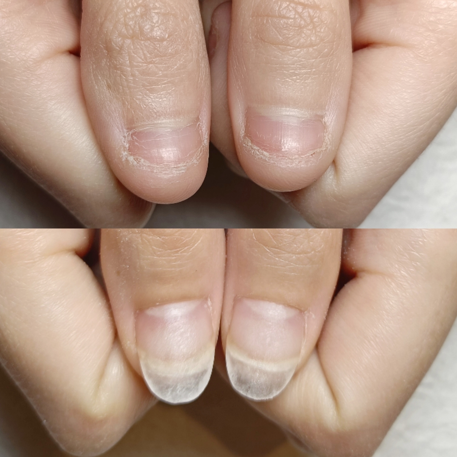 BeautyPlus_20250428191304194_save.jpg