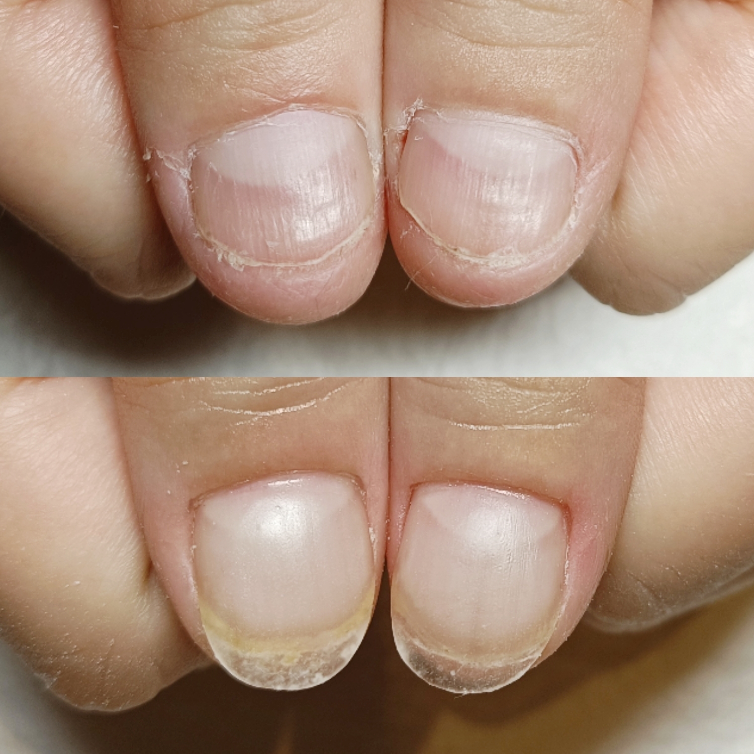 BeautyPlus_20250501212308720_save.jpg