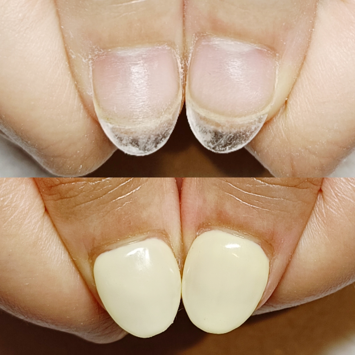 BeautyPlus_20250505103743671_save.jpg