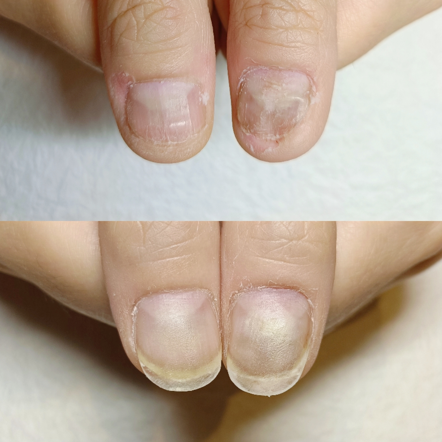BeautyPlus_20250622184737613_save.jpg