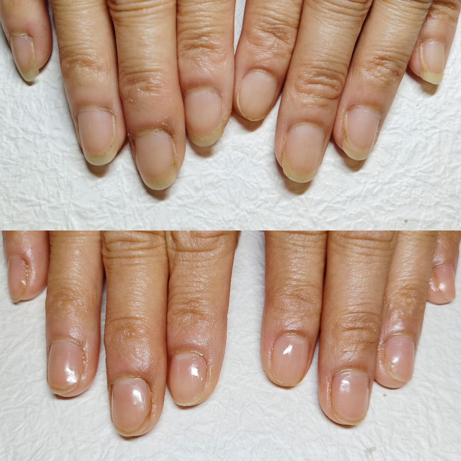 BeautyPlus_20250626120341878_save.jpg
