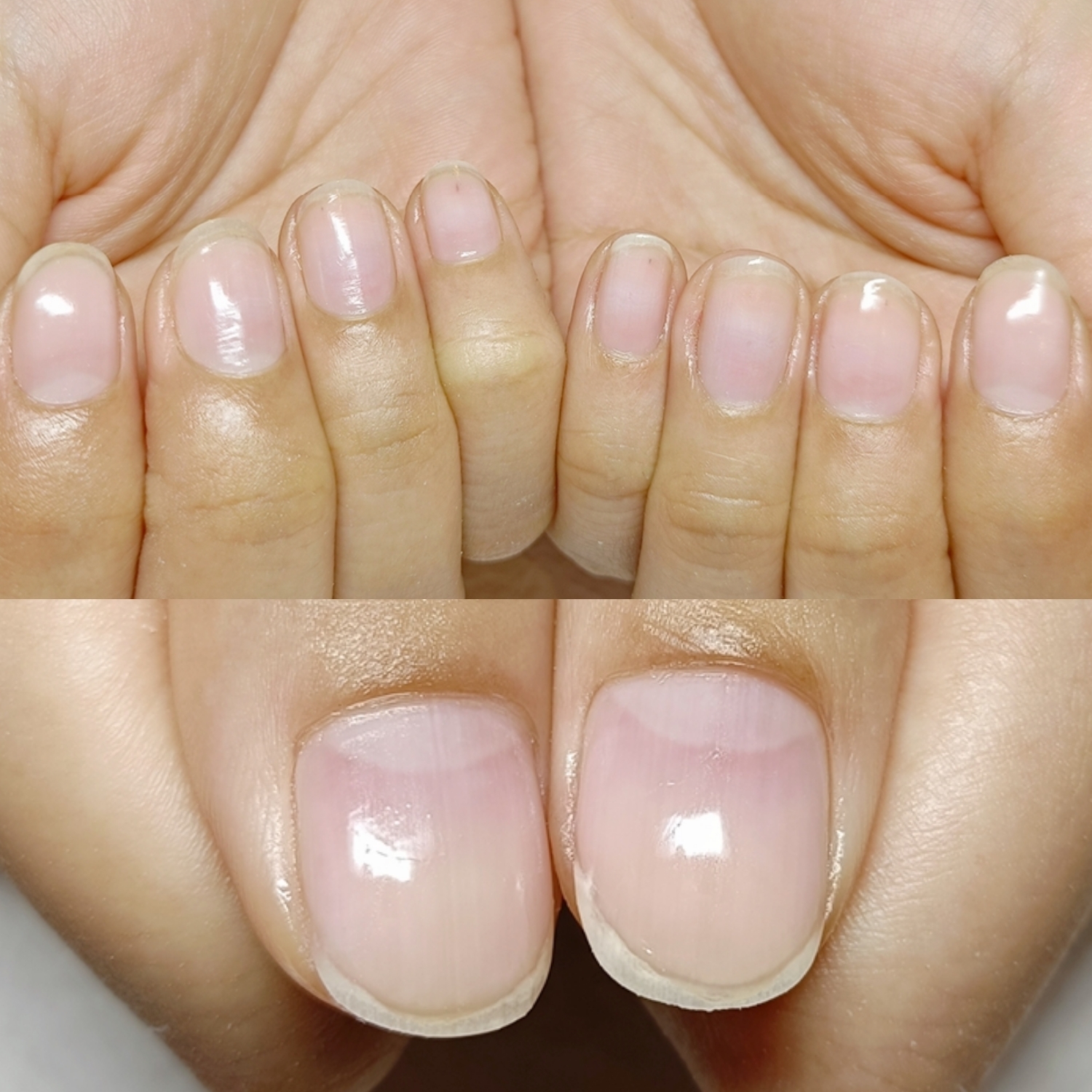 BeautyPlus_20250724093045354_org.jpg