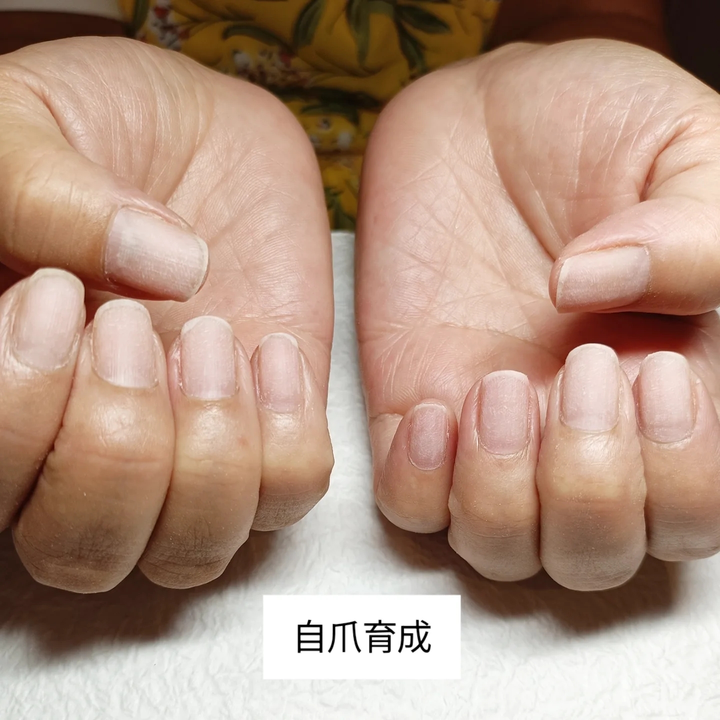 BeautyPlus_20250822094120030_save.jpg