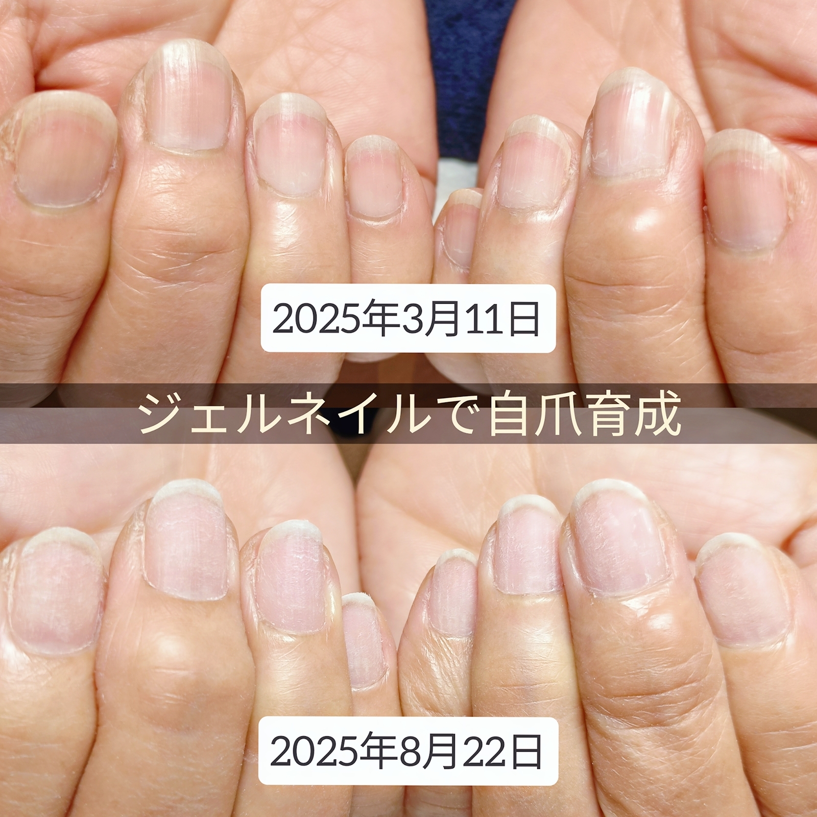 BeautyPlus_20250822222435690_save.jpg