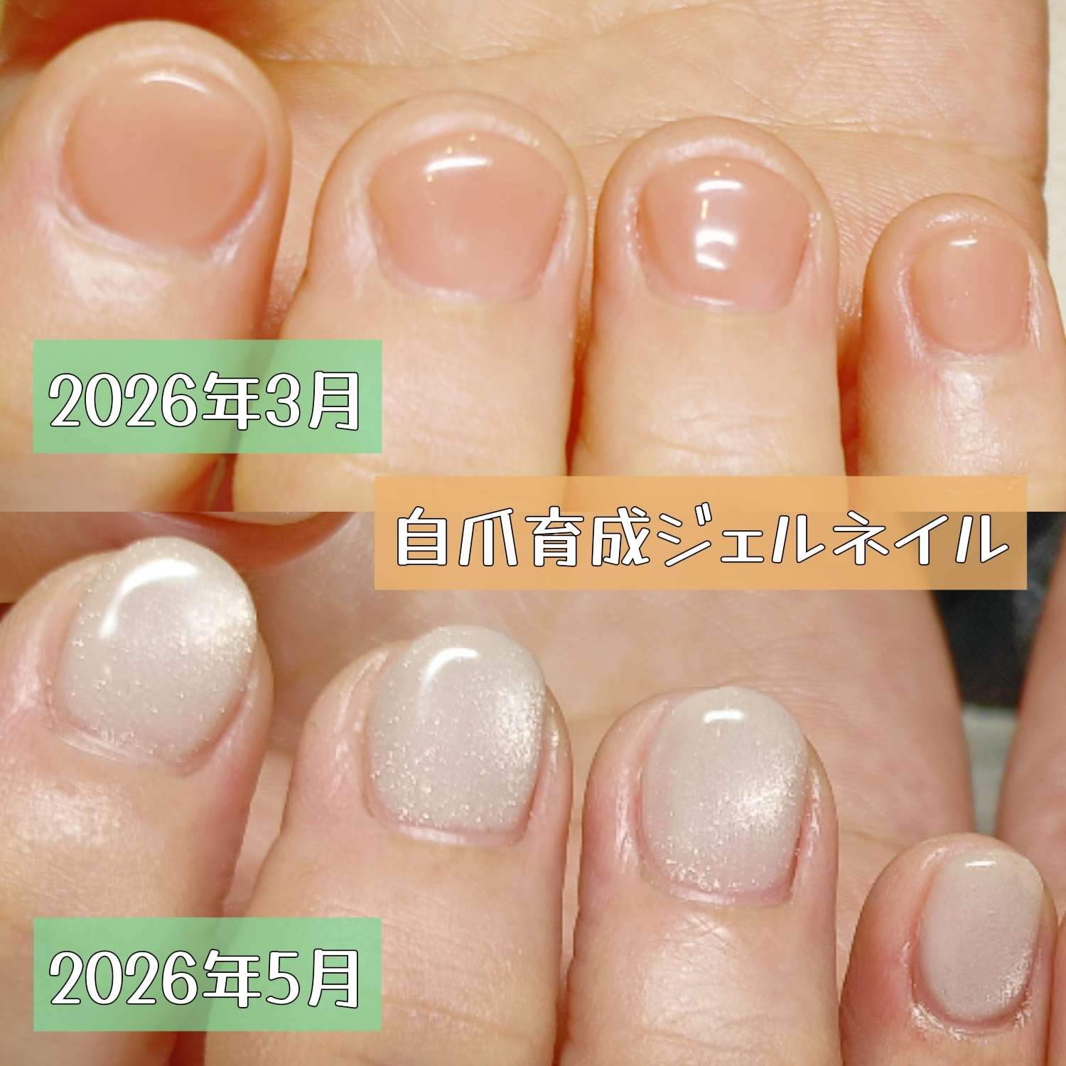 a22ed15be9d77ab47727fa5f4e43c3154d598c64.jpg